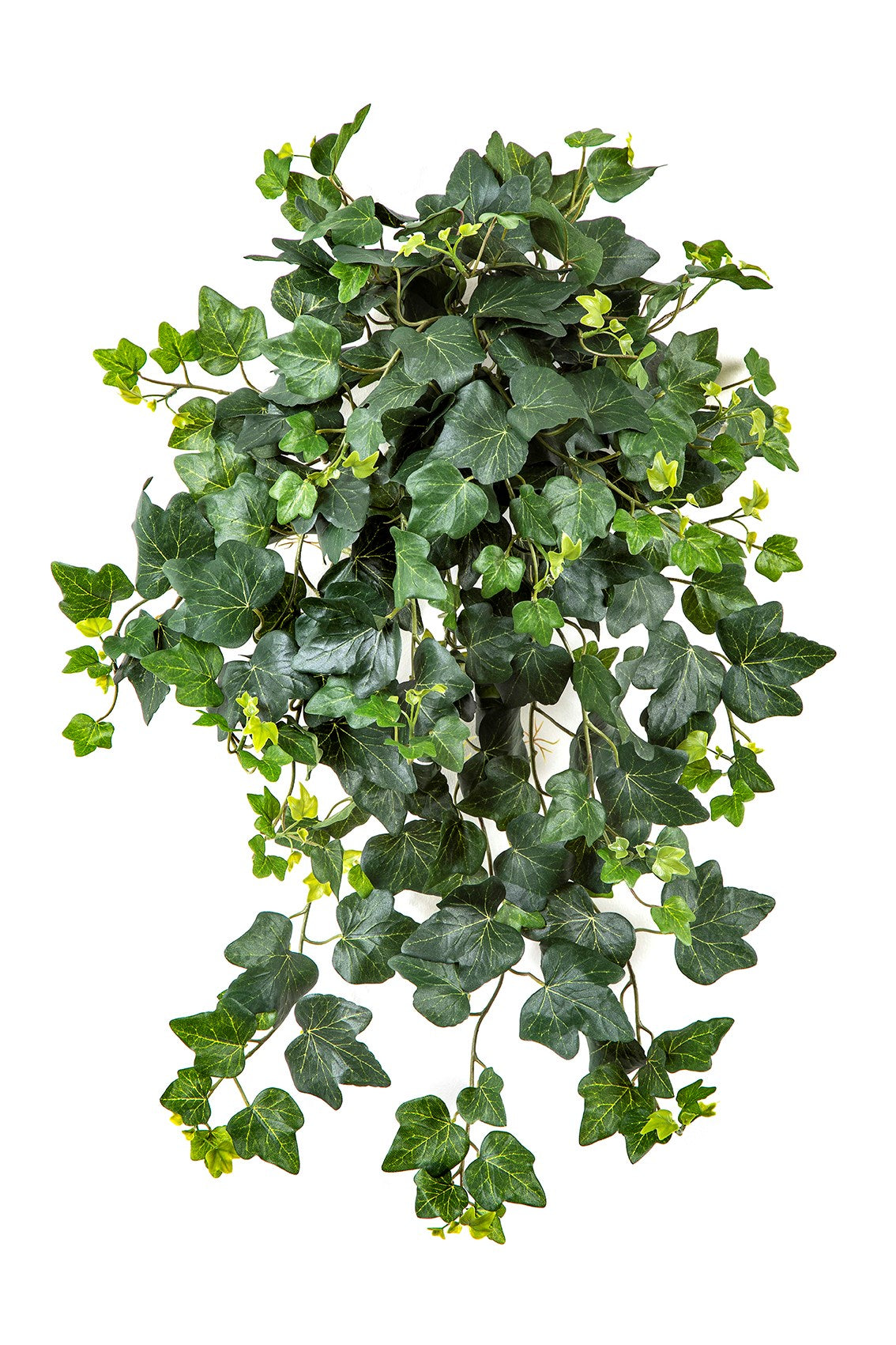 Künstlicher Efeu - Erni | 65 cm