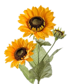 Künstliche Sonnenblume - Belly | 90 cm