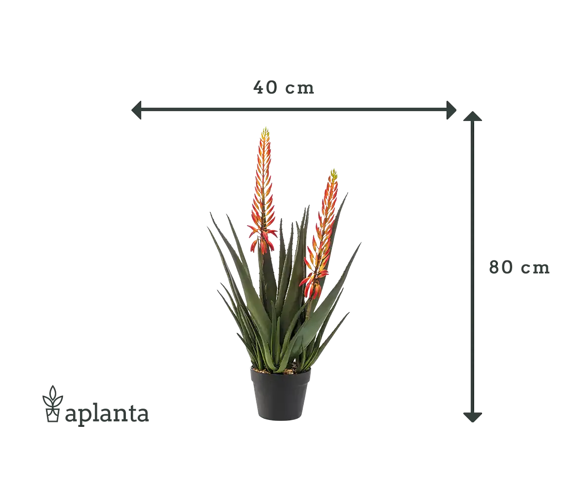 Künstliche Aloe - Paulina | 80 cm