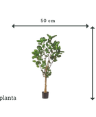 Künstliche Fiederaralie - Milan | 150 cm