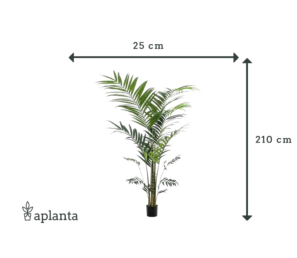 Künstliche Kentia Palme - Nathalie | 210 cm