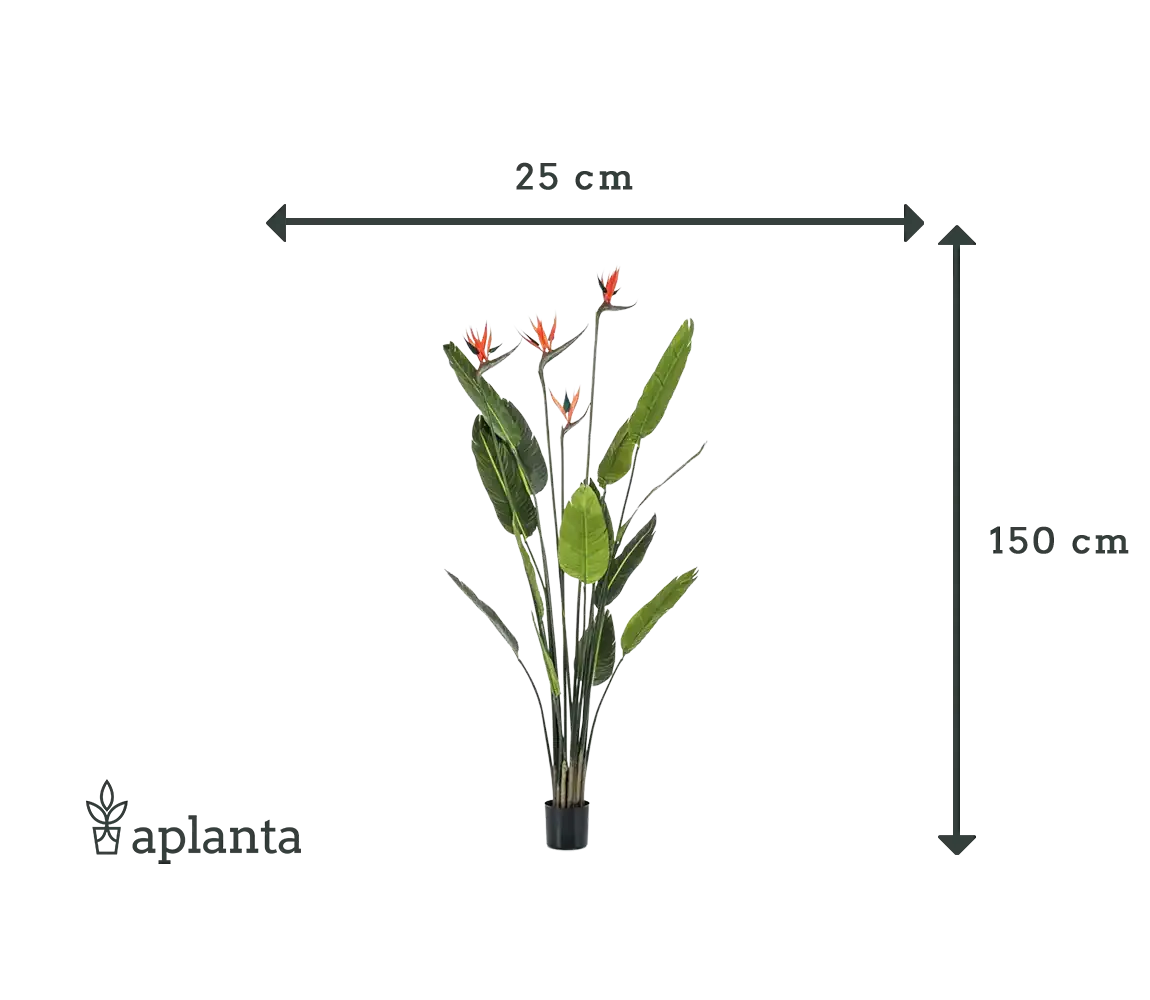 Künstliche Strelitzia - Christian | 150 cm