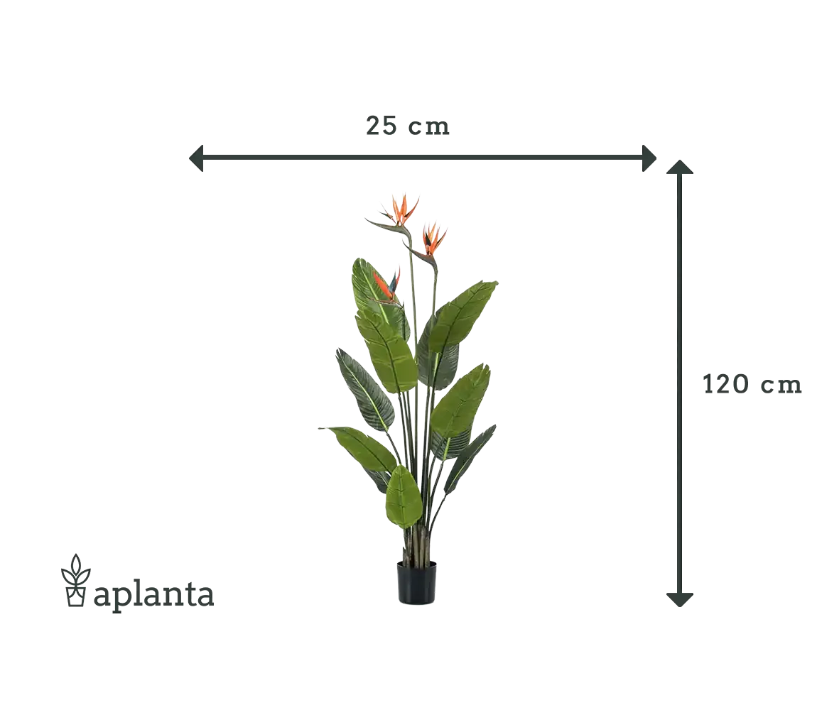 Künstliche Strelitzia - Constantin | 120 cm