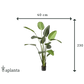 Künstliche Strelitzia - Josephine | 230 cm