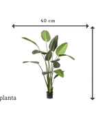 Künstliche Strelitzia - Josephine | 230 cm