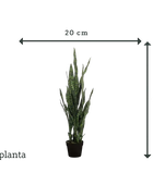 Künstlicher Bogenhanf - Jette | 97 cm