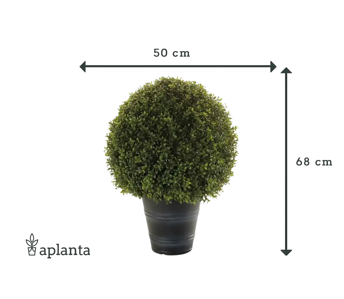 Künstlicher Buchsbaum - Lynn | 68 cm
