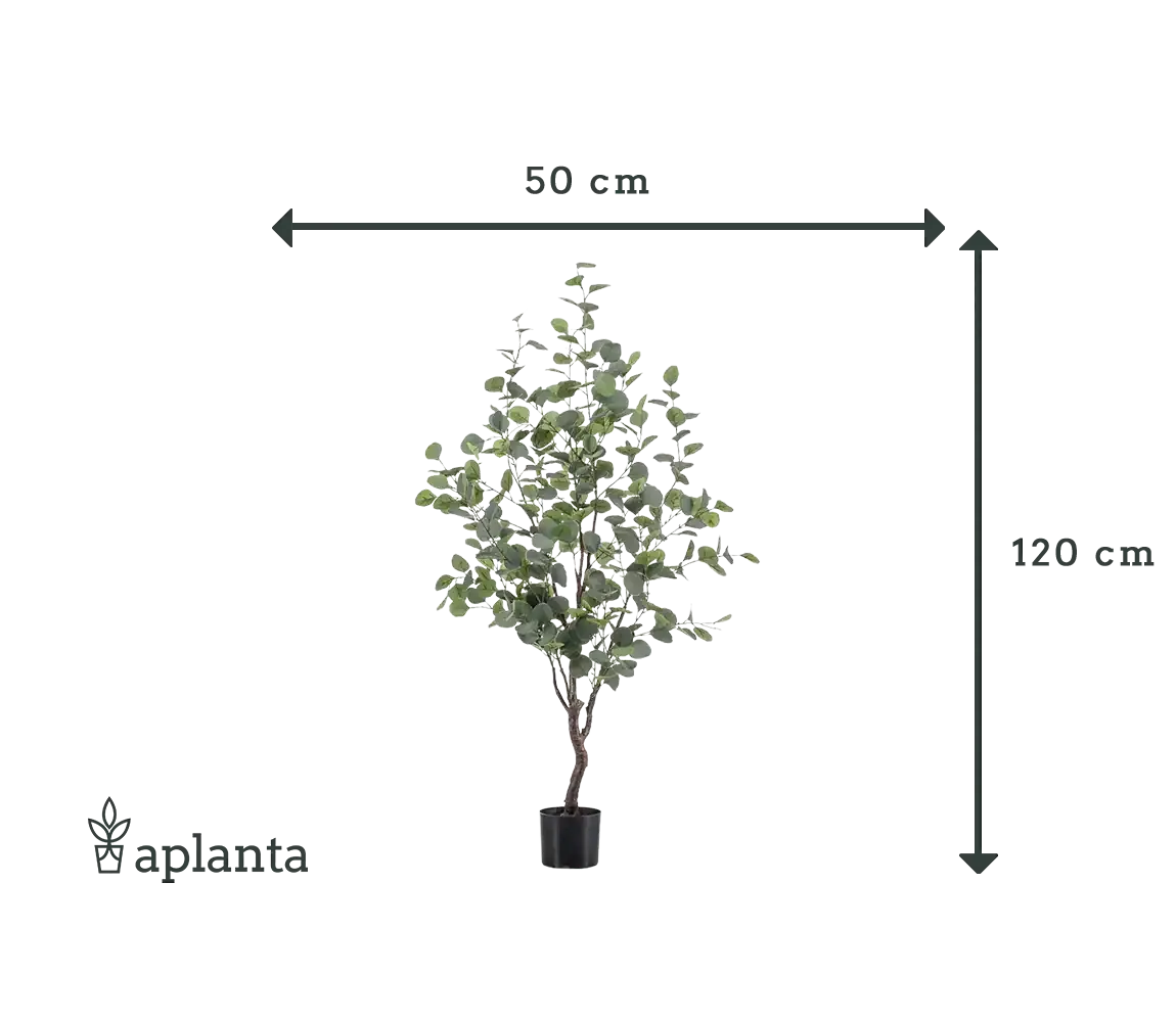 Künstlicher Eucalyptus Baum - Christopher | 120 cm