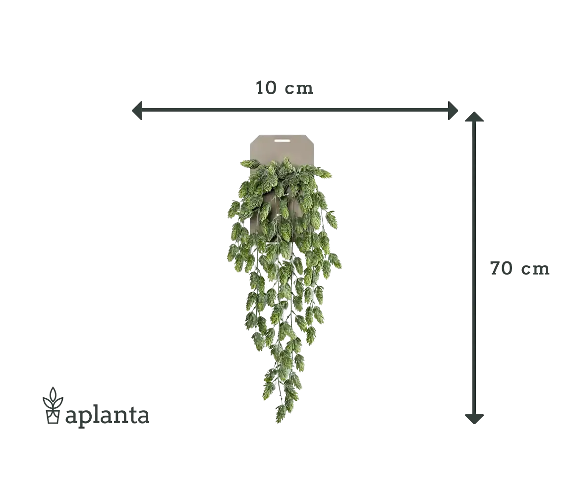 Künstlicher Hänge-Hopfen - Richard | 70 cm