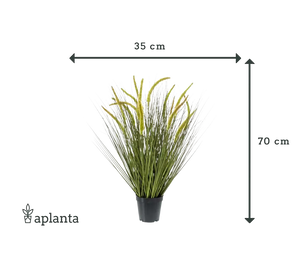 Künstliches Gras - Jonna | 70 cm