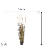 Künstliches Pampasgras - Franziska | 150 cm
