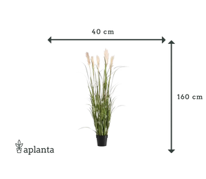 Künstliches Pampasgras - Luis | 160 cm