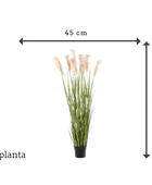 Künstliches Pampasgras - Luis | 175 cm
