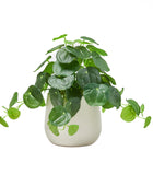 Künstlicher Geldbaum – Cassian | 39 cm