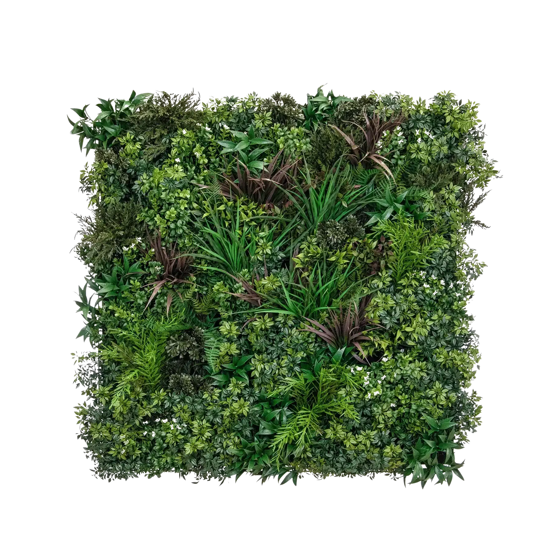 Planta artificial pared - Wolfgang | 100 cm