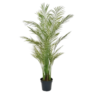 Palmera Areca Artificial - Amelie | 180 cm