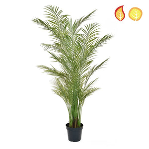 Künstliche Areca Palme - Wolfgang | 210 cm