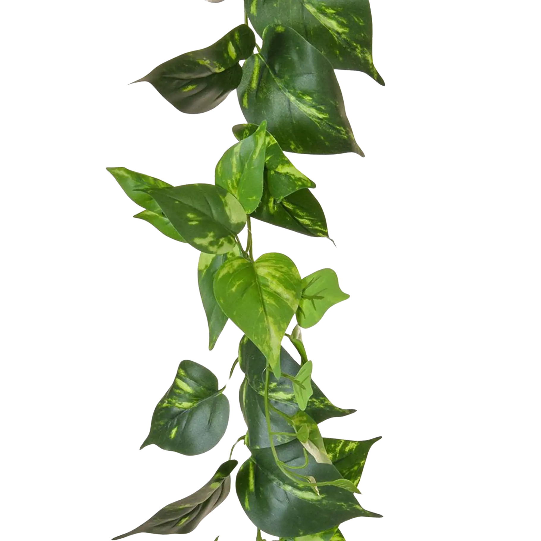 Guirnalda de pothos artificial - Christian | 220 cm