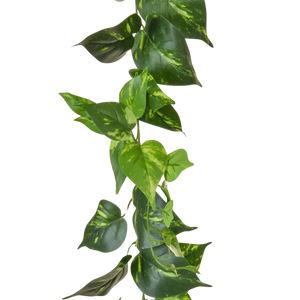 Guirnalda de pothos artificial - Christian | 220 cm