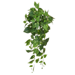 Künstlicher Pothos - Walter | 80 cm