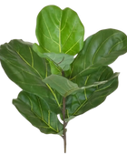 Künstlicher Geigenfeigenzweig - Gustav | 58 cm