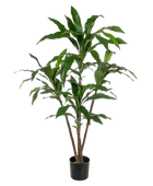 Künstliche Dracaena - Michel | 60 cm