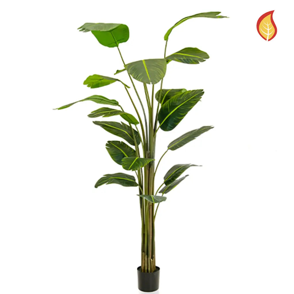 Künstliche Strelitzia - Zita, 240 cm, Kunstbaum von aplanta, feuerhemmend, B1-zertifiziert, in Grün, für drinnen