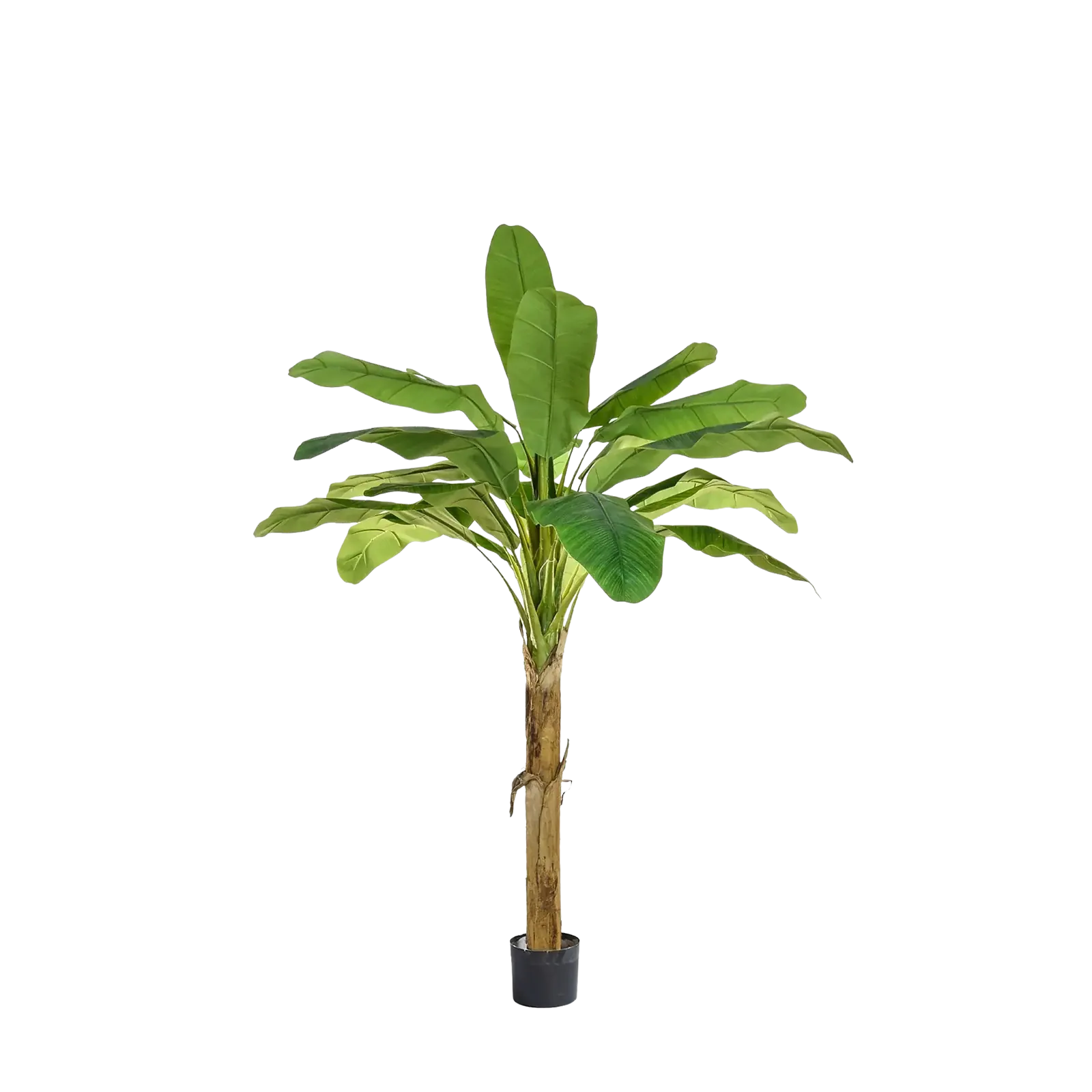 Künstlicher Bananenbaum - Harald | 105 cm