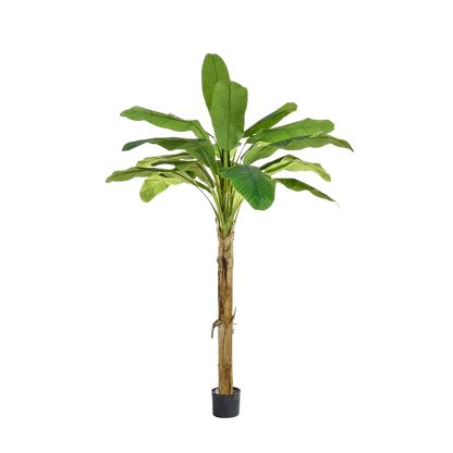 Künstlicher Bananenbaum - Jonas, 180 cm, Kunstbaum von aplanta, feuerhemmend, B1-zertifiziert, in Grün, für drinnen