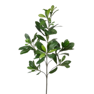 Künstlicher Pittosporum - Regina | 56 cm