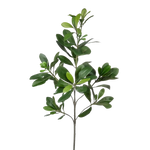 Künstlicher Pittosporum - Regina, 56 cm, Kunstpflanze von aplanta, feuerhemmend, B1-zertifiziert, Steckpflanze, in Grün