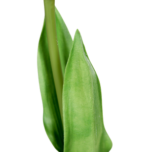 Künstliche Tulpe - Tris | 60 cm