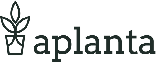 aplanta Kunstpflanzen