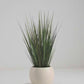 Künstliches Gras – Selwyn | 60 cm