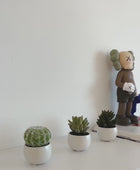 Suculentas artificiales Kaketeen 3 piezas - Bambo | 8 cm, maceta cerámica blanca