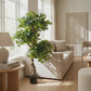 Gingko artificial - Tino | 145 cm