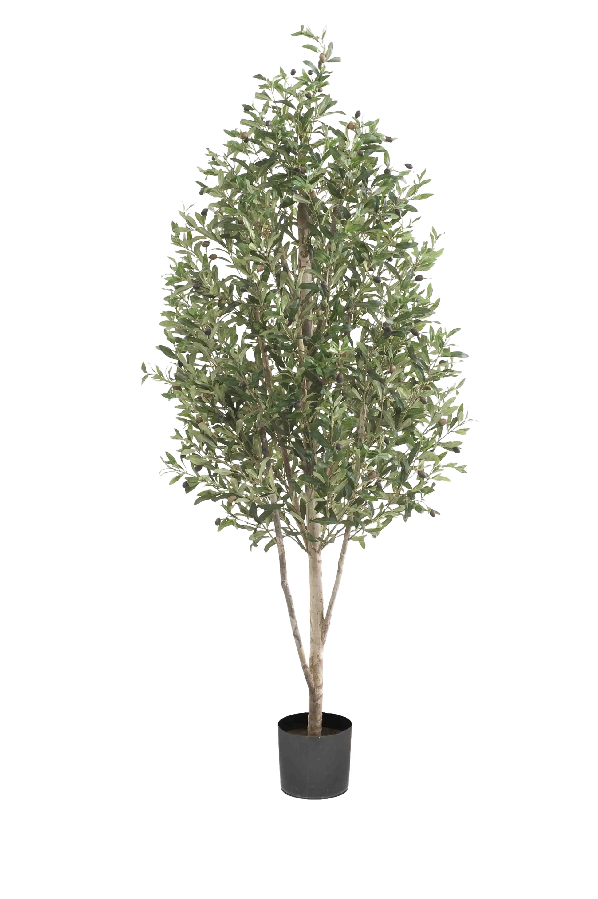 Künstlicher Olivenbaum - Cheyenne auf transparentem Hintergrund mit echt wirkenden Kunstblättern. Diese Kunstpflanze gehört zur Gattung/Familie der "Olivenbäume" bzw. "Kunst-Olivenbäume".