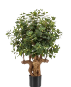 Ficus panda artificial - Arne