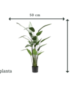 Heliconias artificiales - Frida | 125 cm