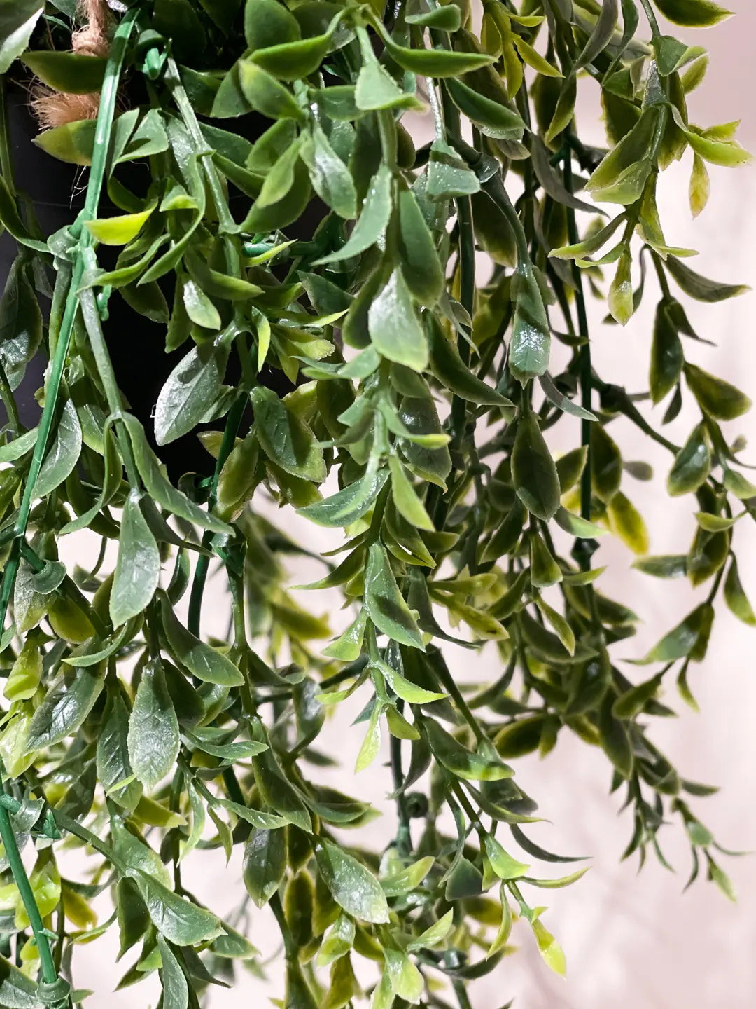Künstlicher Hänge-Buchsbaum - Kevin | 50 cm | Kunstpflanze von aplanta