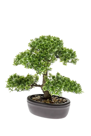 Hochwertiger Kunstbonsai auf transparentem Hintergrund mit echt wirkenden Kunstblättern in natürlicher Anordnung. Künstlicher Ficus Bonsai - Yui hat die Farbe Natur und ist 32 cm hoch. | aplanta Kunstpflanzen