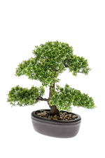 Künstlicher Ficus Bonsai - Yui, 32 cm, Kunstpflanze von aplanta, inkl. Dekotopf, in Natur, für drinnen