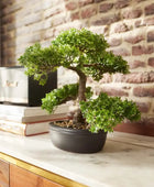 Ficus Artificial Bonsai - Yui | 32 cm