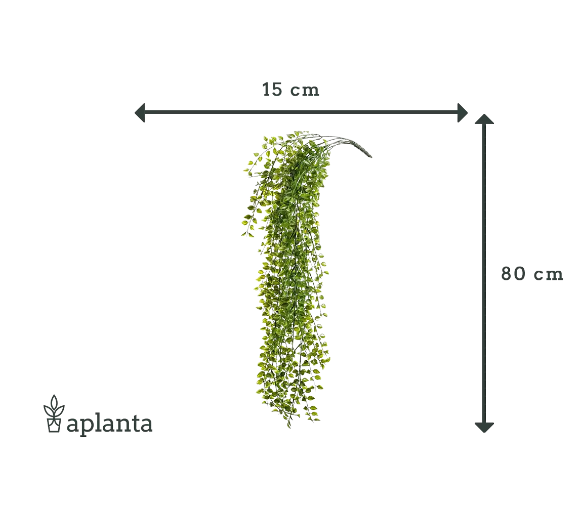Ficus trepador artificial colgante - Keno | 80 cm