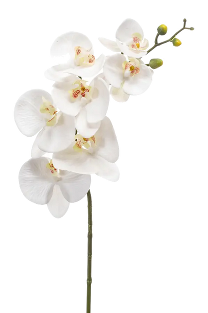 Künstliche Orchidee - Chen Lu, 86 cm, Kunstblume von aplanta, in Weiß, für drinnen