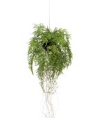 Künstlicher Hänge-Farn - Jolie auf transparentem Hintergrund mit echt wirkenden Kunstblättern. Diese Kunstpflanze gehört zur Gattung/Familie der 