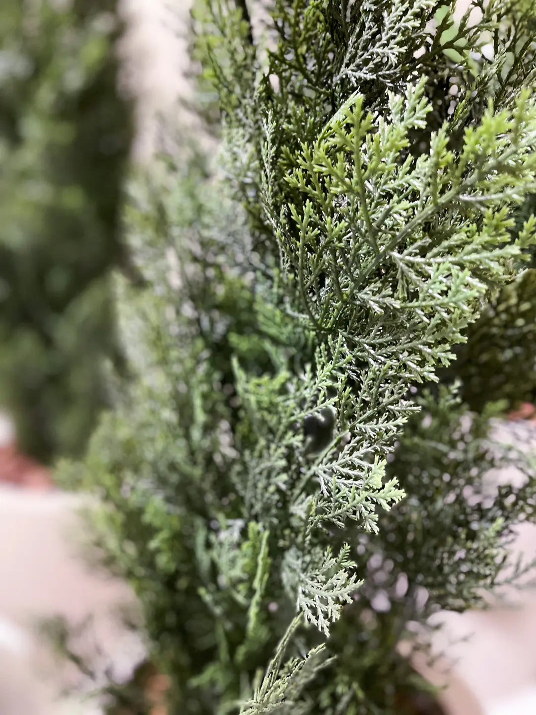 Künstliche Zeder - Mira | 150 cm, UV-beständig | Kunstbaum von aplanta