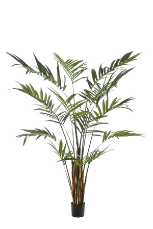 Palmera artificial Areca dorada 200 cm - Easyplants