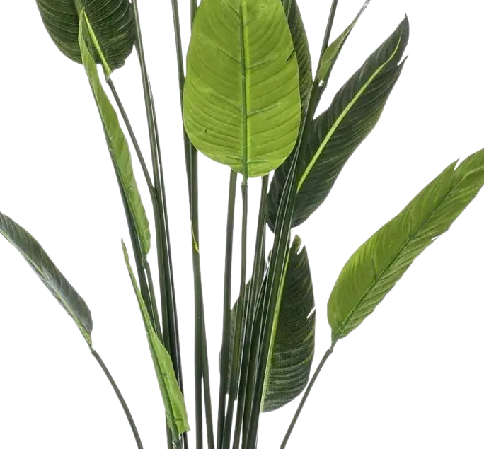 Strelitzia artificial - Christian | 150 cm
