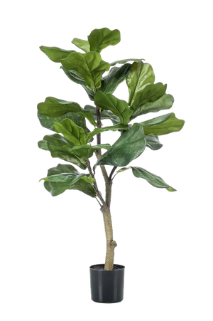 Árbol Ficus artificial para la decoración de interiores - China Árbol  artificial y Árbol artificial artificiales Ficus precio